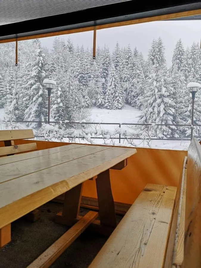 Breza Ravna Gora Hotel